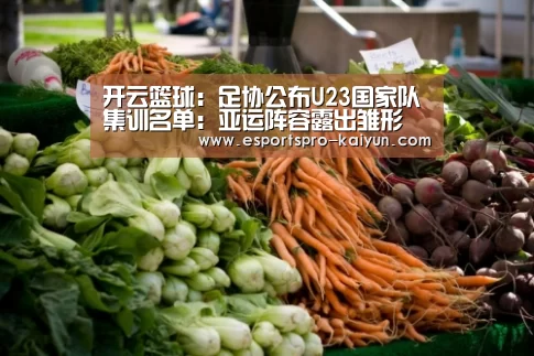 开云篮球:足协公布U23国家队集训名单:亚运阵容露出雏形(图3) 开云体育