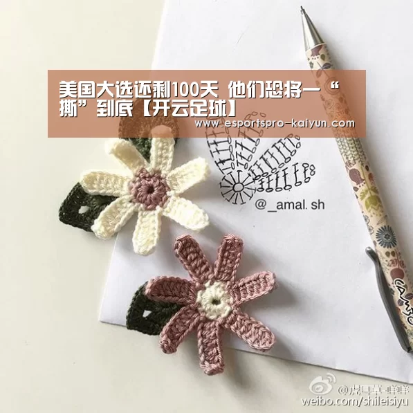 美国大选还剩100天 他们恐将一“撕”到底【开云足球】(图1) 开云足球