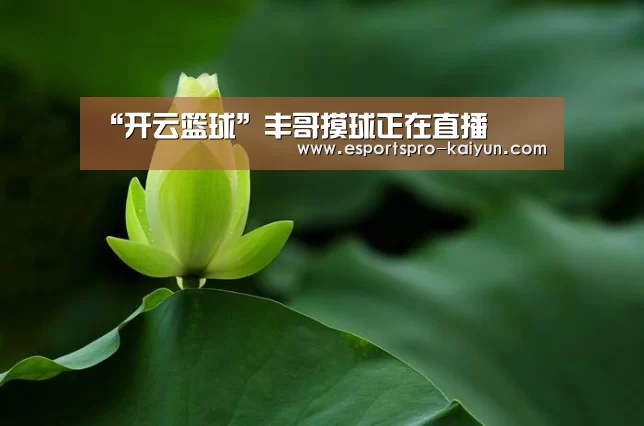 “开云篮球”丰哥摸球正在直播(图1) 开云篮球