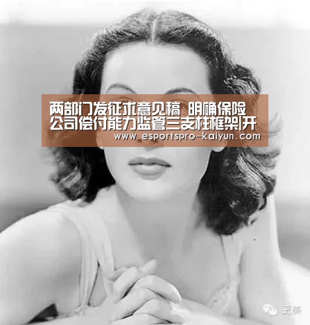 两部门发征求意见稿 明确保险公司偿付能力监管三支柱框架|开云篮球(图1) 开云篮球