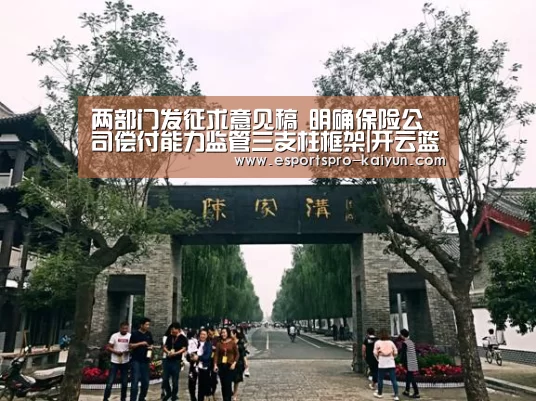 两部门发征求意见稿 明确保险公司偿付能力监管三支柱框架|开云篮球(图2) 开云赛事