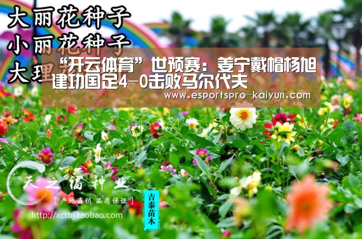 “开云体育”世预赛:姜宁戴帽杨旭建功国足4-0击败马尔代夫(图1) 开云足球